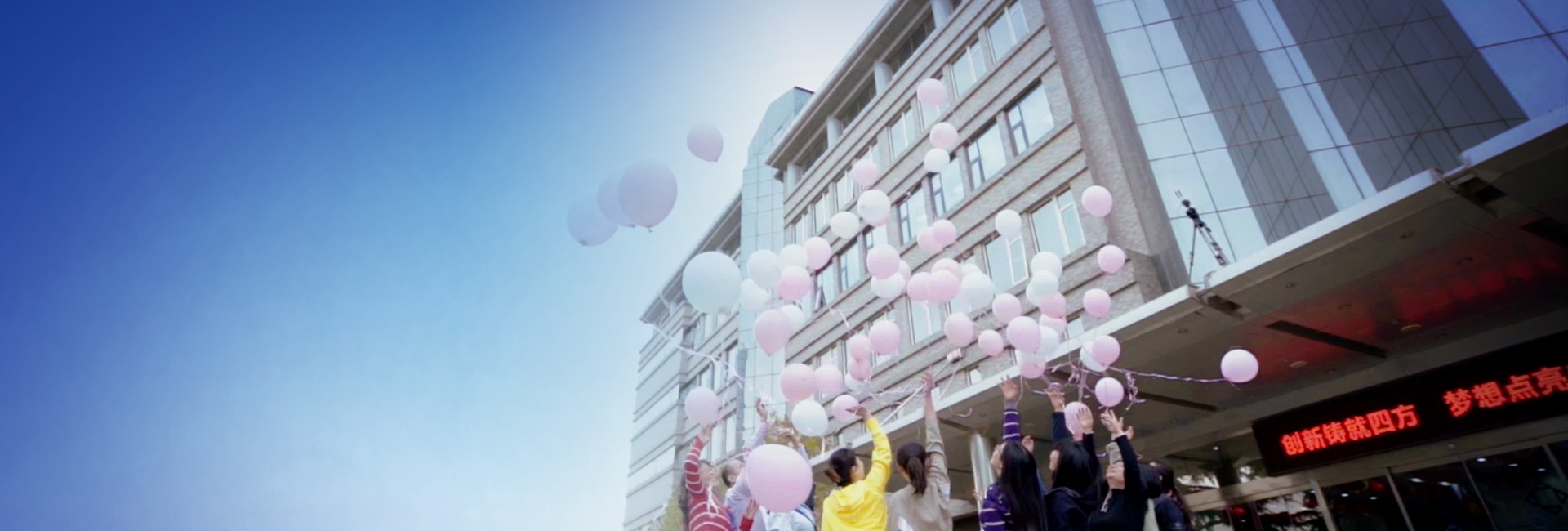 z6com������-(�й�)��˾�ٷ���վ