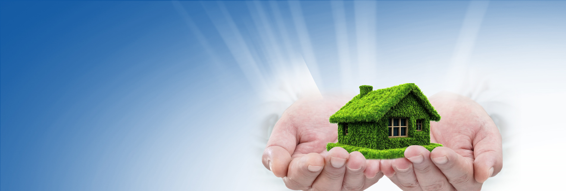 z6com������-(�й�)��˾�ٷ���վ