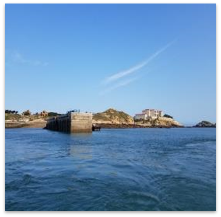 1c7dbbac85724e9fbcecd209e166e937.png 1c7dbbac85724e9fbcecd209e166e937.png